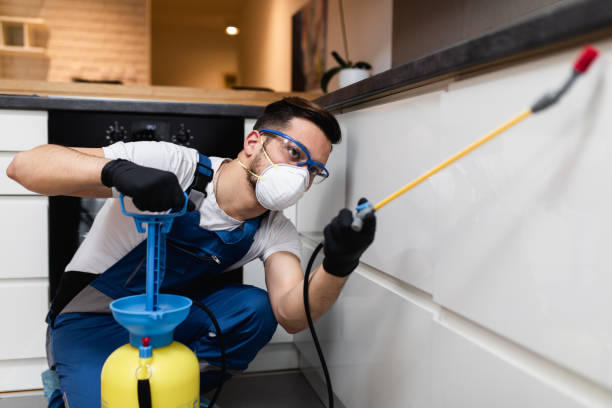 Wasp Removal Services in Archer Lodge, NC