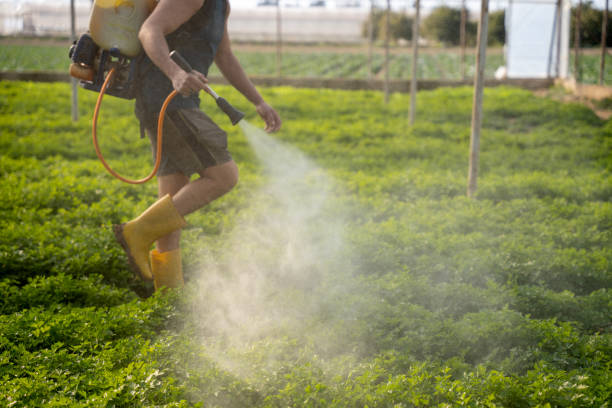 Best Commercial Pest Control Services  in Archer Lodge, NC