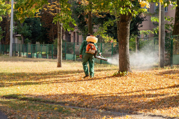 Best Termite Control Services  in Archer Lodge, NC