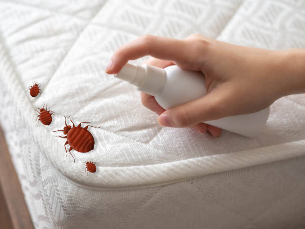 Flea Control Services in Archer Lodge, NC