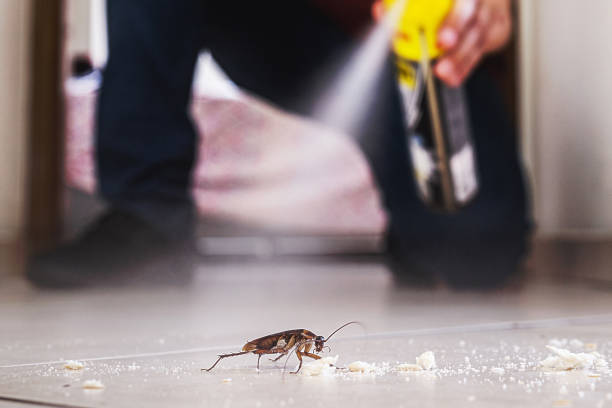 Wildlife Control Services in Archer Lodge, NC
