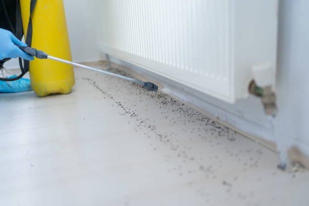 Best Ant Control Services  in Archer Lodge, NC