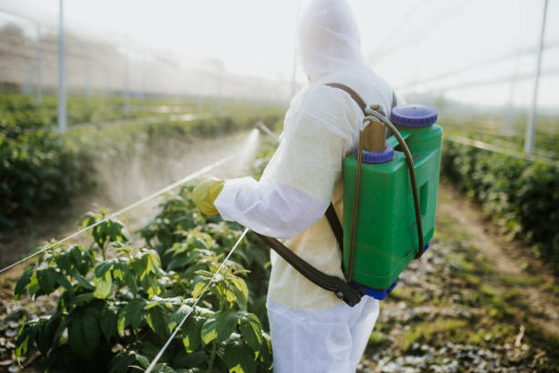 Best Emergency Pest Control  in Archer Lodge, NC